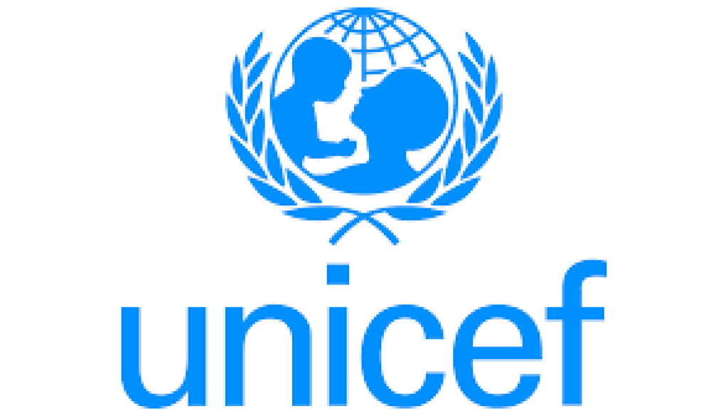 Budget Specialist Vacancy-Job Ref: ACPHUNICEF/0633/20230206